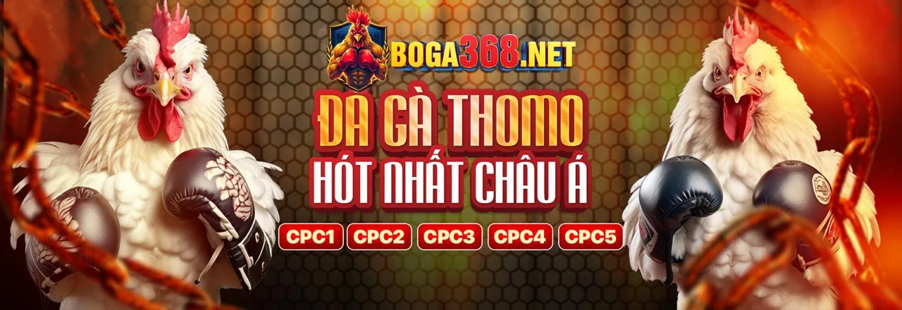 Câu hỏi thường gặp SV888